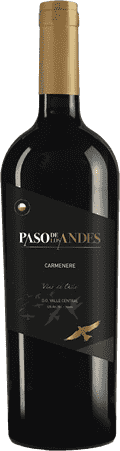Paso de Los Andes