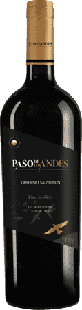 Paso de Los Andes